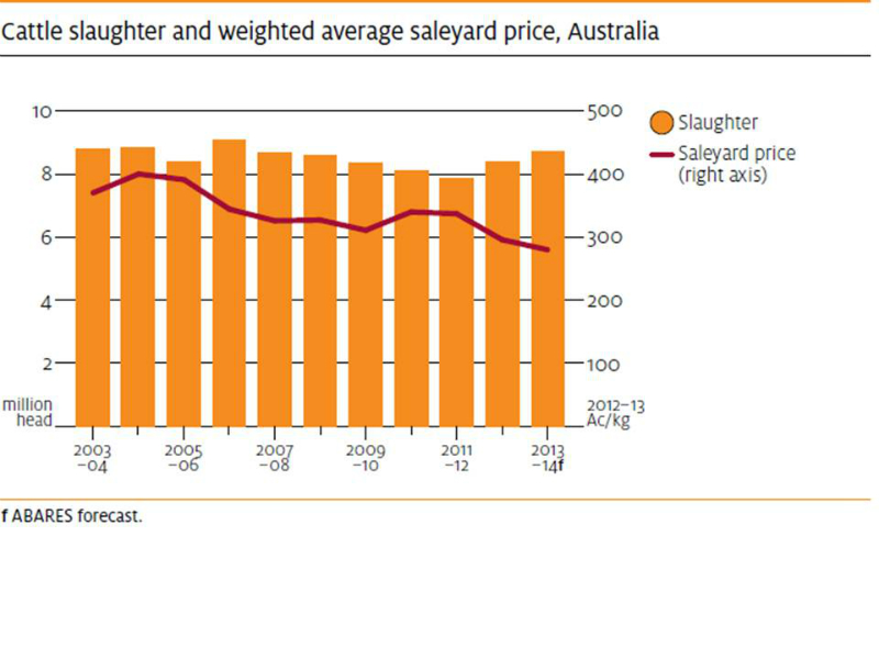 beef-cattle-slaughter-and-price-2003-to-2013