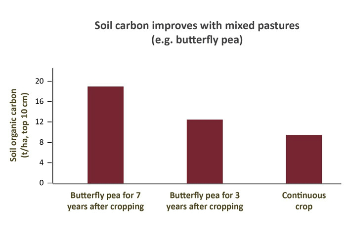 soil-carbon-improves-with-mixed-pastures-source-qld-dpi-futurebeef