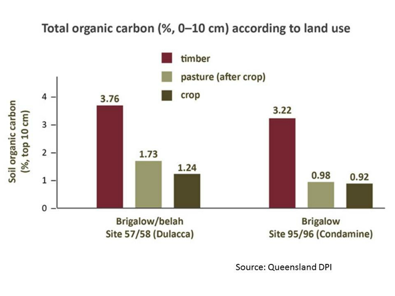 soil-carbon-improves-with-mixed-pastures-source-qld-dpi-futurebeef_0