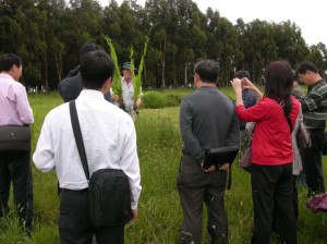 A delegation of Chinese agricultural scientists were keenly interested in the performance of pasture species.