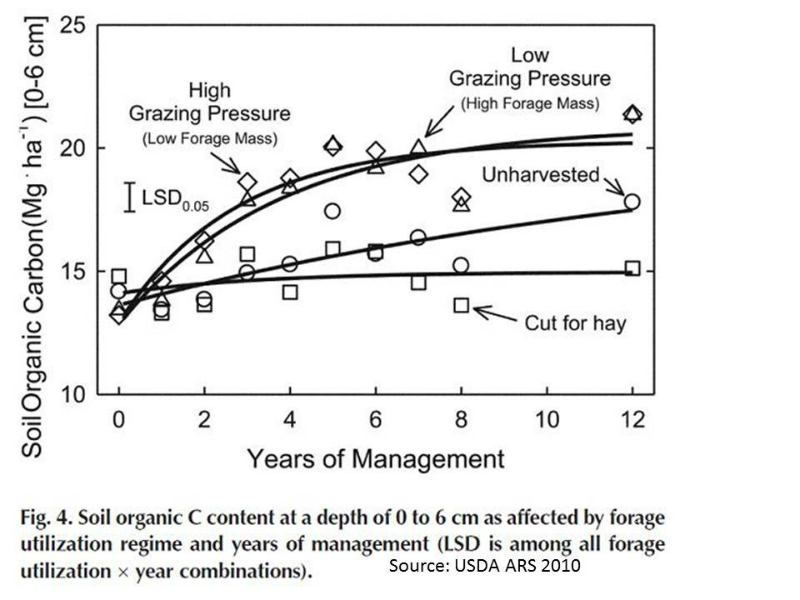 soil-carbon-changes-us-12-year-trial