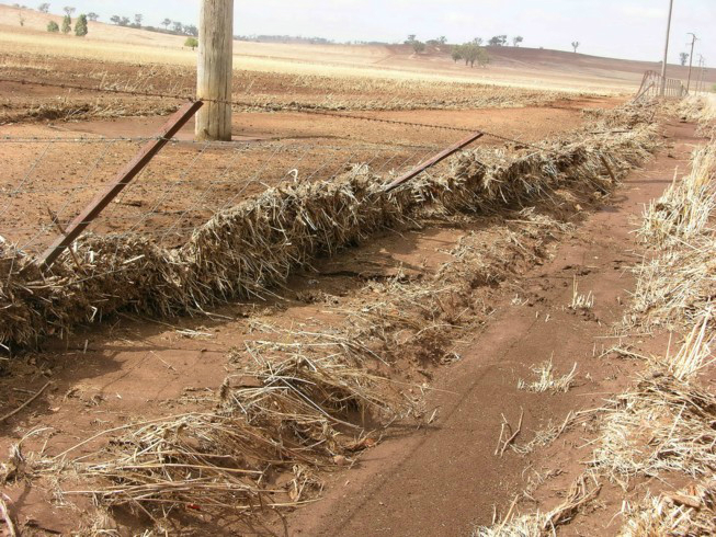 soil-erosion-fence-line-young-207-web