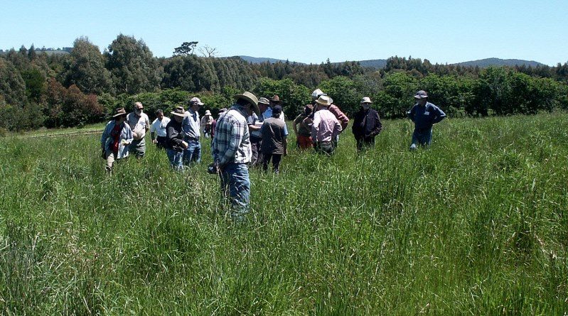 Visitors to Moffitts Farm inspect the pasture