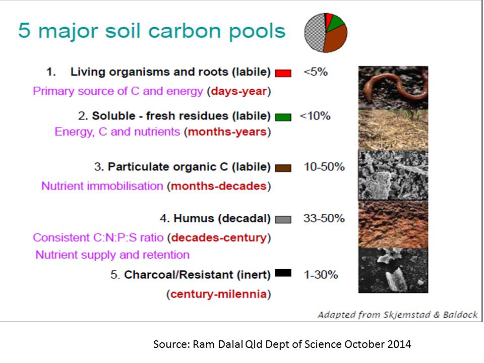 Soil carbon components Ram Delal