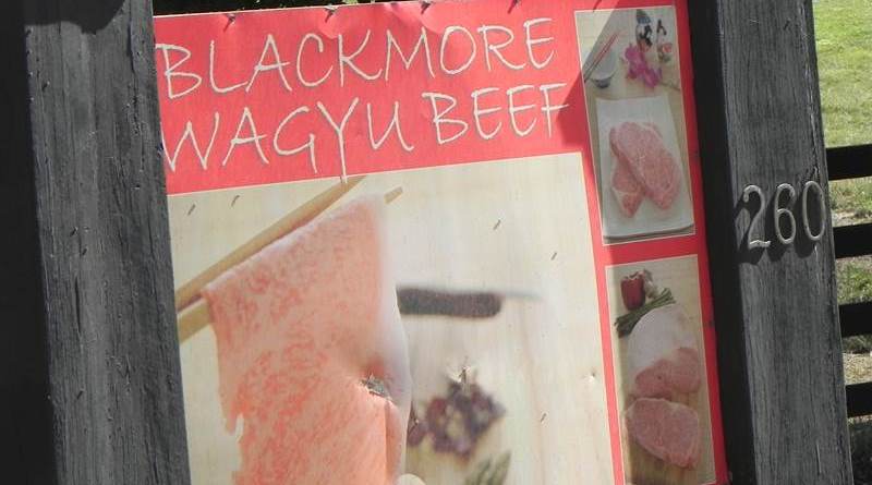 farm gate sign : Blackmore Wagyu Beef
