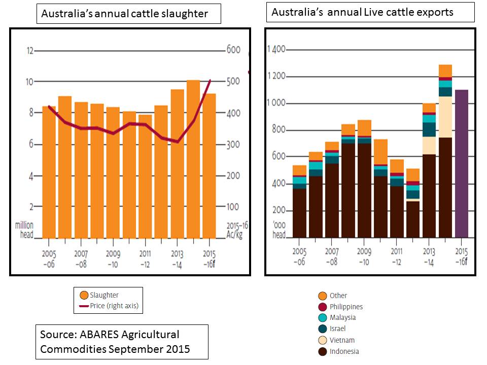 Beef cattle slaughter versus live exports 2005 to 2015