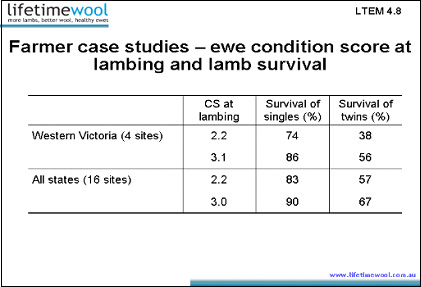 ewe-condition-score-and-lamb-survival-case-studies-survivestudy