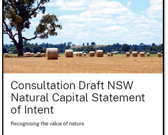 Farms natural capital importance recognised by NSW government
